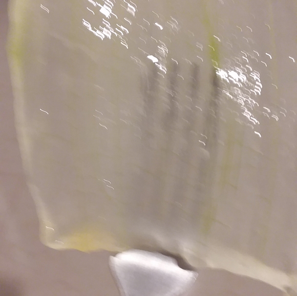 Olivera - Picture 6 of 8